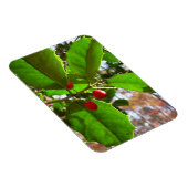 Holly Leaves II Holiday Natuur Botanisch Magneet (Rechterzijde)