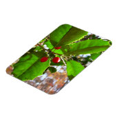 Holly Leaves II Holiday Natuur Botanisch Magneet (Linkerzijde)