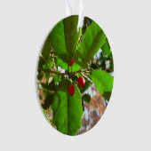Holly Leaves II Holiday Natuur Botanisch Ornament (voorkant)