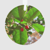 Holly Leaves II Holiday Natuur Botanisch Ornament (achterkant)