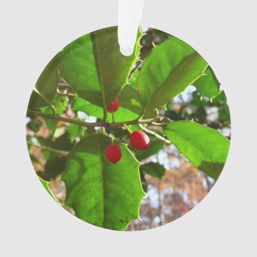 Holly Leaves II Holiday Natuur Botanisch Ornament (voorkant)