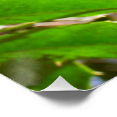 Holly Leaves II Holiday Natuur Botanisch Perfect Poster (Hoek)