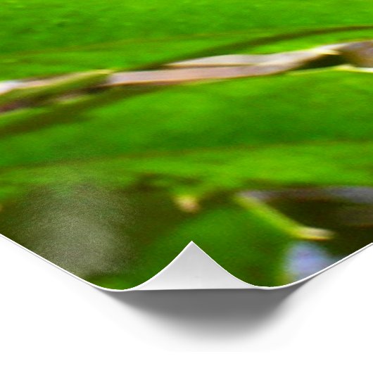 Holly Leaves II Holiday Natuur Botanisch Perfect Poster (Hoek)