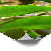 Holly Leaves II Holiday Natuur Botanisch Poster (Hoek)