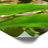 Holly Leaves II Holiday Natuur Botanisch Poster (Hoek)