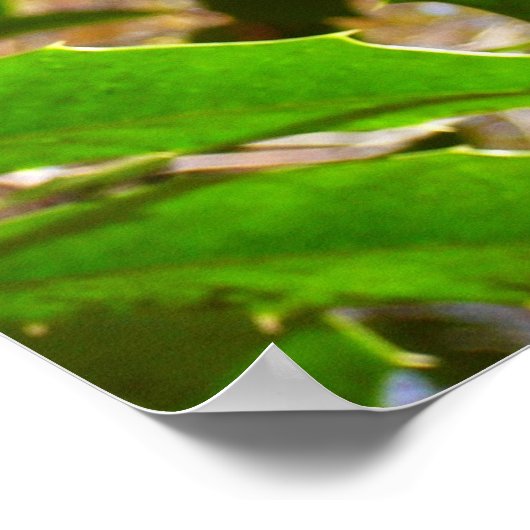 Holly Leaves II Holiday Natuur Botanisch Poster (Hoek)
