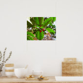 Holly Leaves II Holiday Natuur Botanisch Poster (Keuken)
