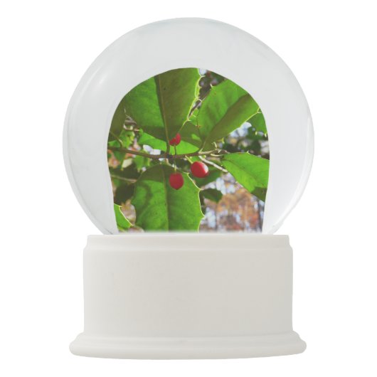 Holly Leaves II Holiday Natuur Botanisch Sneeuwbol (Voorkant)