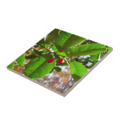 Holly Leaves II Holiday Natuur Botanisch Tegeltje (Zijkant)