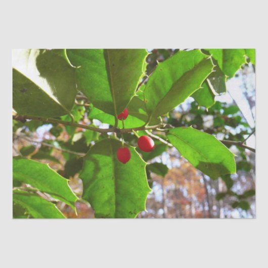 Holly Leaves II Holiday Natuur Botanisch Tissuepapier (Voorkant)