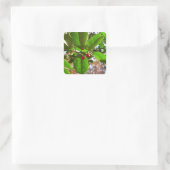Holly Leaves II Holiday Natuur Botanisch Vierkante Sticker (Tas)