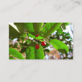 Holly Leaves II Holiday Natuur Botanisch Visitekaartje (Achterkant)