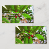 Holly Leaves II Holiday Natuur Botanisch Visitekaartje (Voorkant / Achterkant)