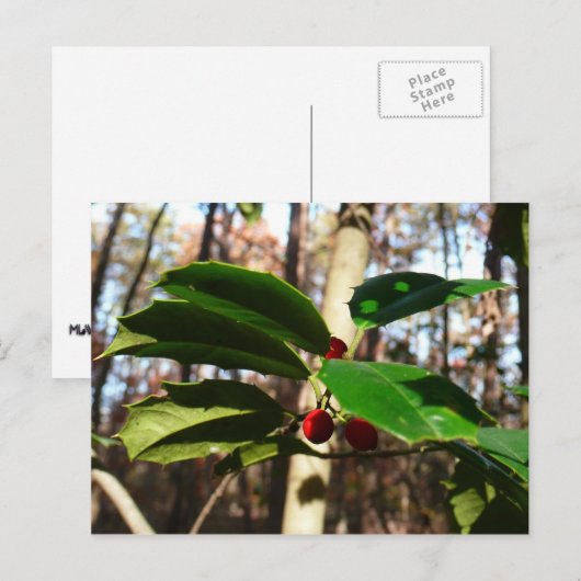 Holly left I Holiday Botanical Feestdagenkaart (Voorkant / Achterkant)