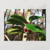 Holly left I Holiday Botanical Feestdagenkaart (Voorkant)