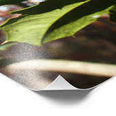 Holly left I Holiday Botanical Foto Afdruk (Hoek)