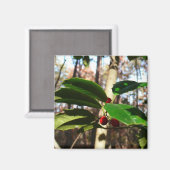 Holly left I Holiday Botanical Magneet (Voorkant / Achterkant)