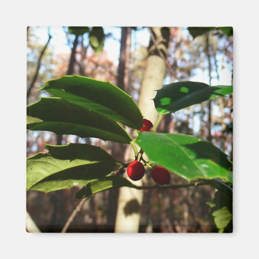 Holly left I Holiday Botanical Magneet (Voorkant)