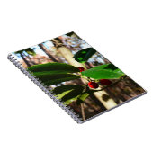 Holly left I Holiday Botanical Notitieboek (Rechterzijde)