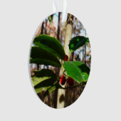 Holly left I Holiday Botanical Ornament (voorkant)