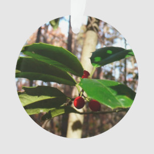 Holly left I Holiday Botanical Ornament