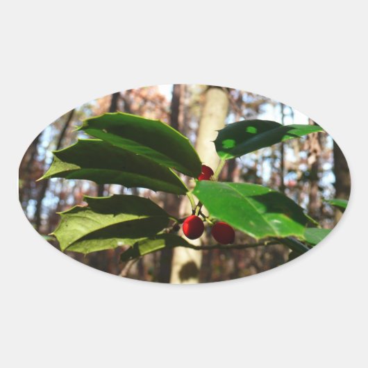 Holly left I Holiday Botanical Ovale Sticker (Voorkant)