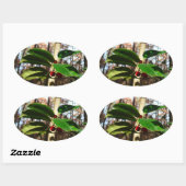 Holly left I Holiday Botanical Ovale Sticker (Vel)
