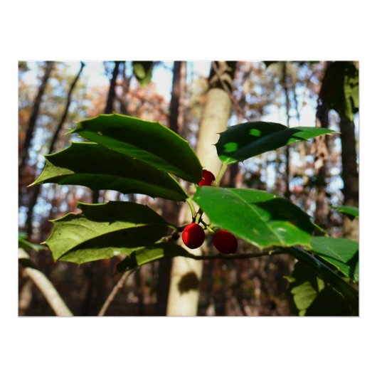 Holly left I Holiday Botanical Perfect Poster (Voorkant)