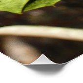 Holly left I Holiday Botanical Perfect Poster (Hoek)