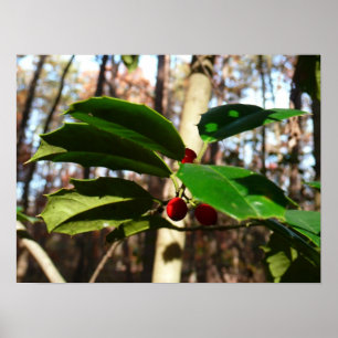 Holly left I Holiday Botanical Poster