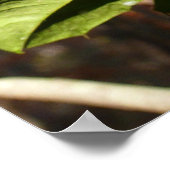 Holly left I Holiday Botanical Poster (Hoek)