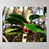 Holly left I Holiday Botanical Poster (Voorkant)