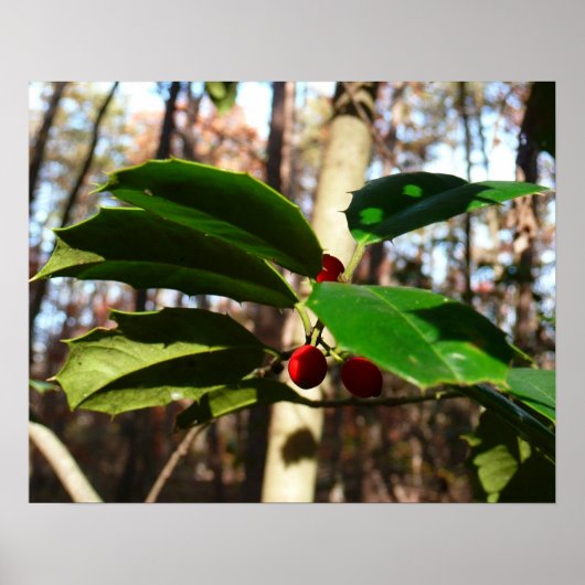 Holly left I Holiday Botanical Poster (Voorkant)