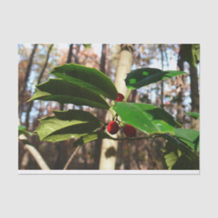 Holly left I Holiday Botanical Tissuepapier