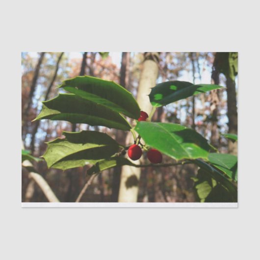 Holly left I Holiday Botanical Tissuepapier (Voorkant)