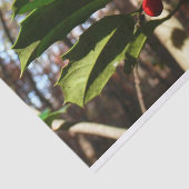 Holly left I Holiday Botanical Tissuepapier (Detail)