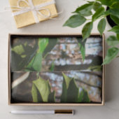 Holly left I Holiday Botanical Tissuepapier (Geschenk)