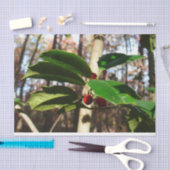 Holly left I Holiday Botanical Tissuepapier (Craft)