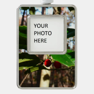 Holly left I Holiday Botanical Verzilverd Omlijst Ornament