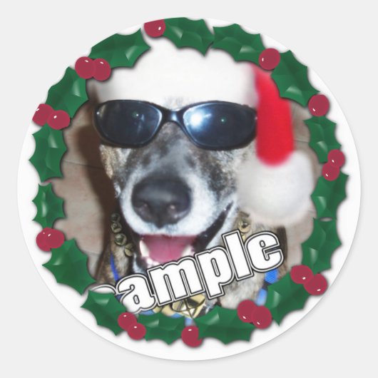 Holly Lijst voor uw kerstfoto! Ronde Sticker (Voorkant)