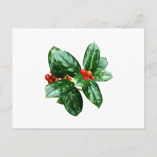 Holly met bessen briefkaart (Voorkant)