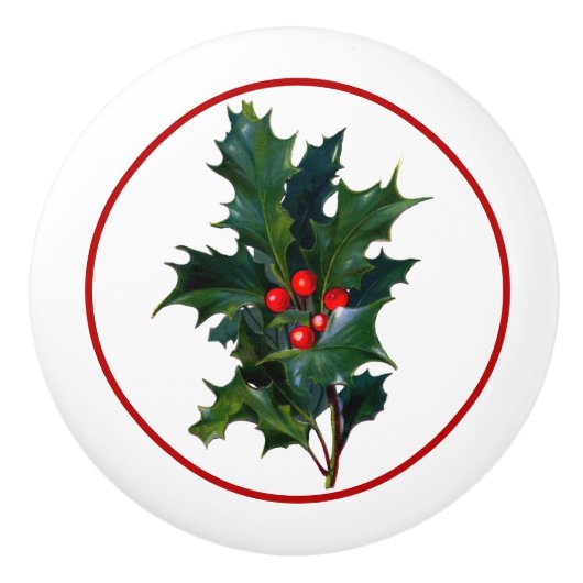  Holly met kleerbak / kabinet Keramische Knop (Voorkant)