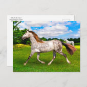 "Holly On the Move"-Briefkaart Briefkaart (Voorkant / Achterkant)