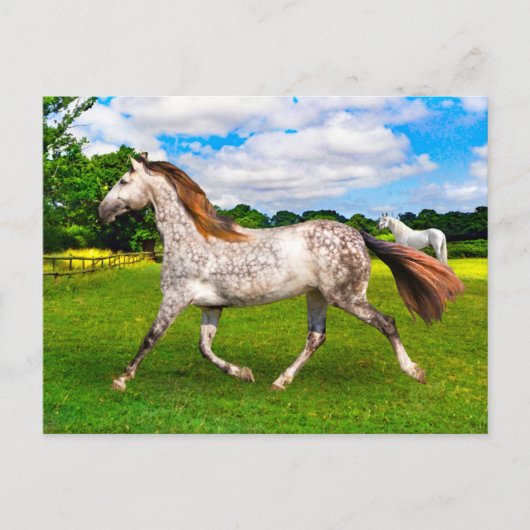 "Holly On the Move"-Briefkaart Briefkaart (Voorkant)