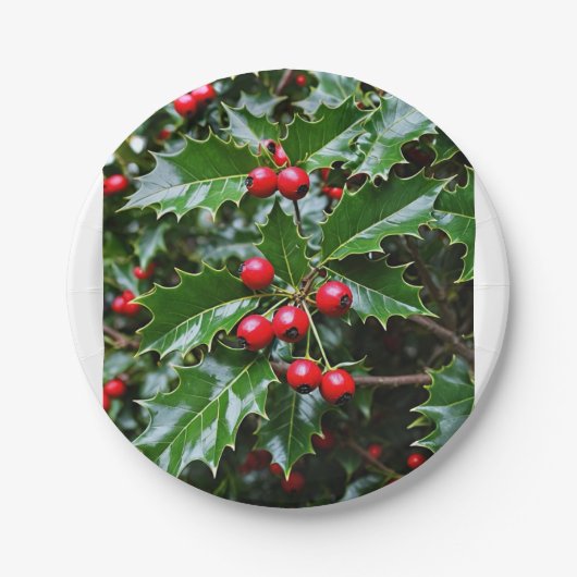 Holly papier borden papieren bordje (Voorkant)