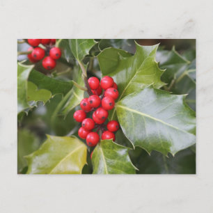 Holly Photo Briefkaart