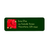Holly Point Poinsettias Holiday Floral Etiket (Voorkant)