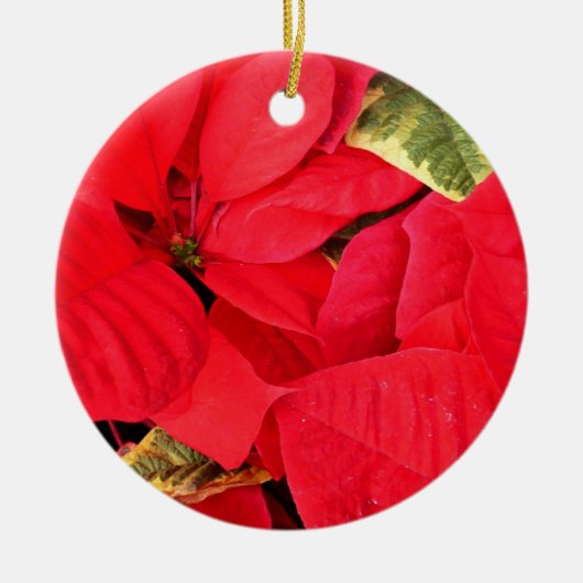Holly Point Poinsettias Holiday Floral Keramisch Ornament (Voorkant)