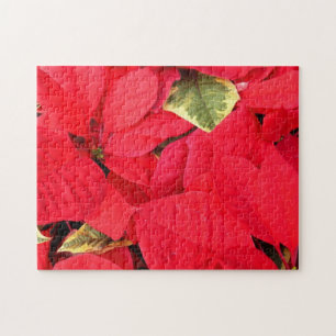 Holly Point Poinsettia's Kerst Bloemstuk Legpuzzel