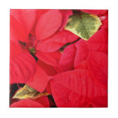 Holly Point Poinsettias Kerstfeestdag Floral Tegeltje (Voorkant)